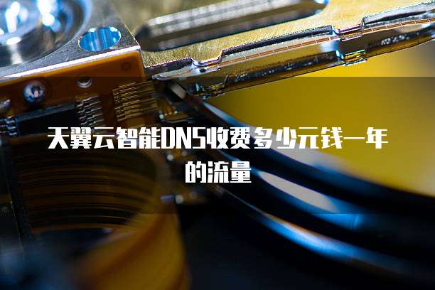 天翼云智能DNS收费多少元钱一年的流量