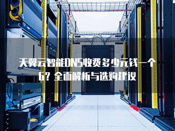 天翼云智能DNS收费多少元钱一个G?全面解析与选购建议