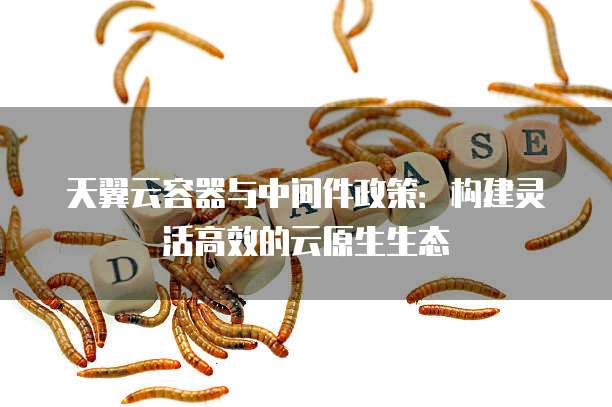 天翼云容器与中间件政策:构建灵活高效的云原生生态