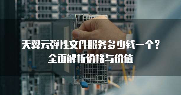天翼云弹性文件服务多少钱一个?全面解析价格与价值