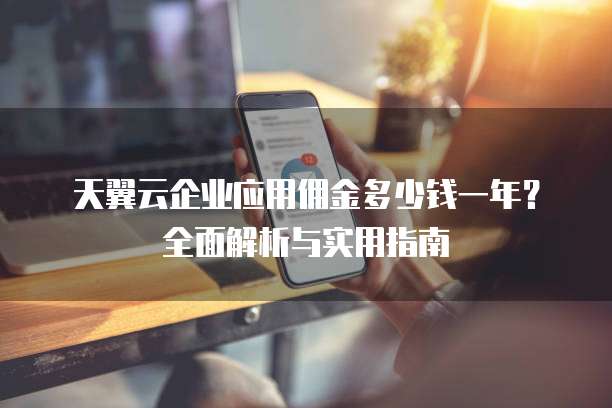 天翼云企业应用佣金多少钱一年？全面解析与实用指南