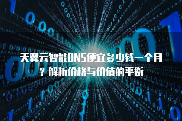 天翼云智能DNS便宜多少钱一个月？解析价格与价值的平衡