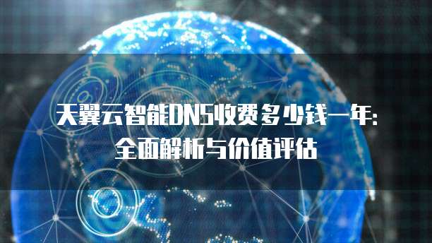 天翼云智能DNS收费多少钱一年:全面解析与价值评估