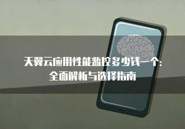 天翼云应用性能监控多少钱一个:全面解析与选择指南