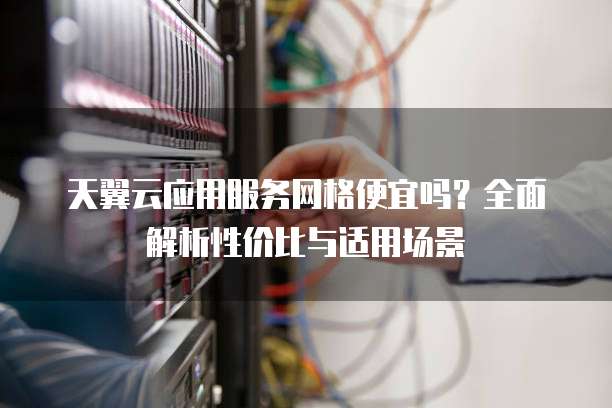 天翼云应用服务网格便宜吗?全面解析性价比与适用场景