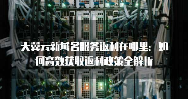 天翼云新域名服务返利在哪里:如何高效获取返利政策全解析