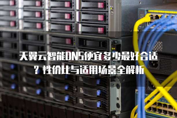 天翼云智能DNS便宜多少最好合适?性价比与适用场景全解析
