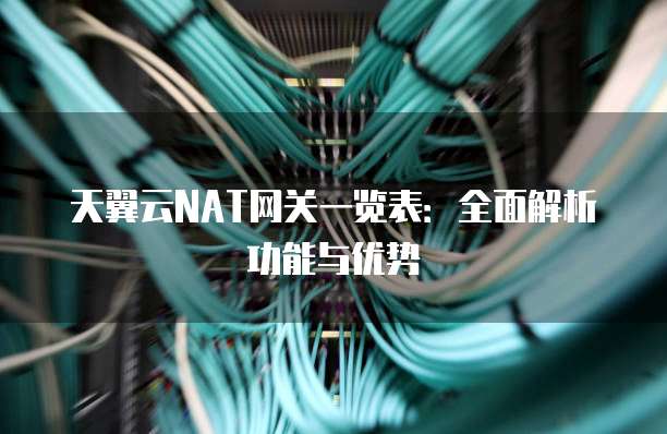 天翼云NAT网关一览表:全面解析功能与优势