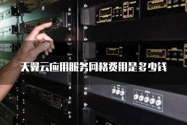 天翼云应用服务网格费用是多少钱