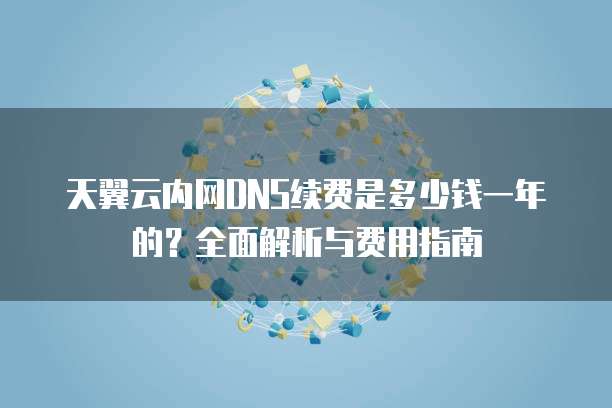天翼云内网DNS续费是多少钱一年的?全面解析与费用指南