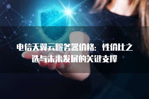 电信天翼云服务器价格：性价比之选与未来发展的关键支撑