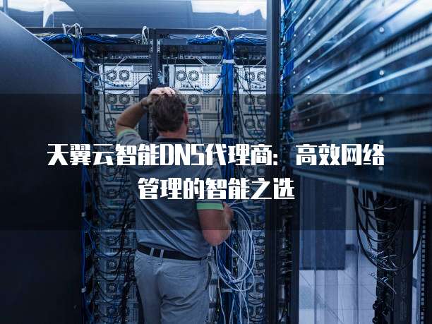 天翼云智能DNS代理商:高效网络管理的智能之选