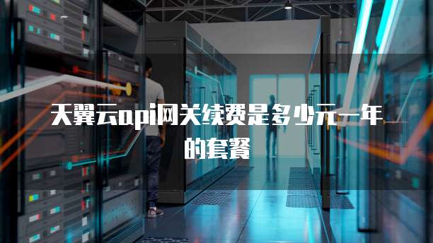天翼云api网关续费是多少元一年的套餐