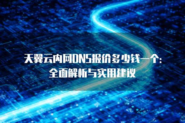 天翼云内网DNS报价多少钱一个：全面解析与实用建议