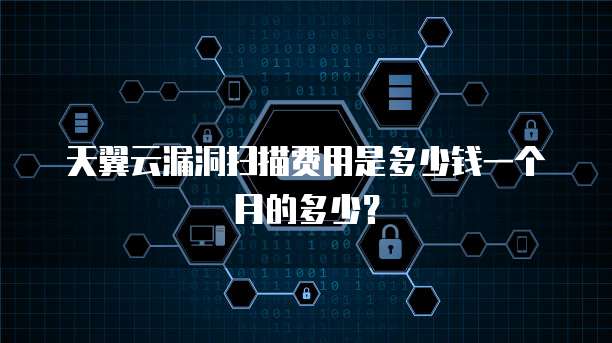 天翼云漏洞扫描费用是多少钱一个月的多少?