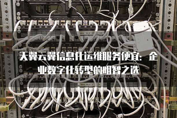 天翼云翼信息化运维服务便宜：企业数字化转型的明智之选
