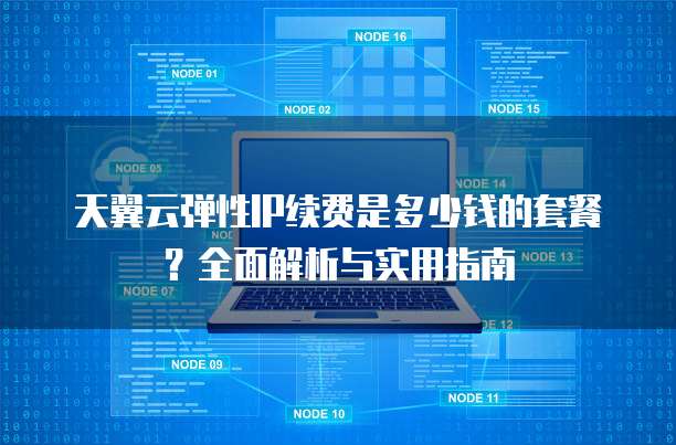 天翼云弹性IP续费是多少钱的套餐?全面解析与实用指南