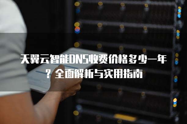 天翼云智能DNS收费价格多少一年?全面解析与实用指南