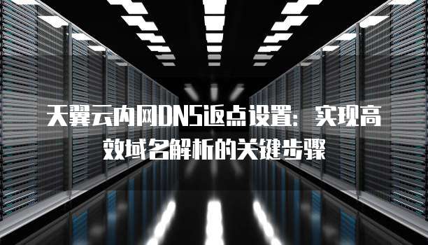 天翼云内网DNS返点设置:实现高效域名解析的关键步骤