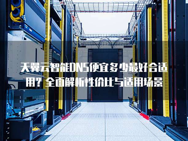 天翼云智能DNS便宜多少最好合适用?全面解析性价比与适用场景