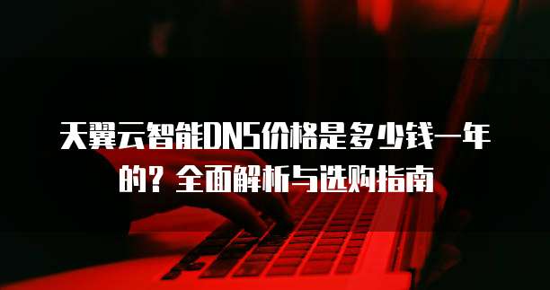 天翼云智能DNS价格是多少钱一年的?全面解析与选购指南
