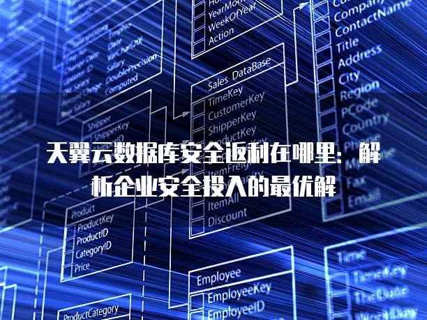 天翼云数据库安全返利在哪里:解析企业安全投入的最优解