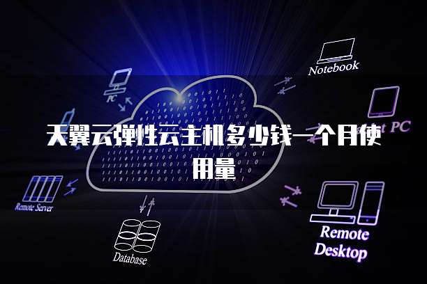 天翼云弹性云主机多少钱一个月使用量