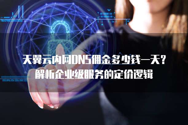 天翼云内网DNS佣金多少钱一天?解析企业级服务的定价逻辑