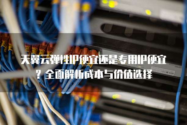 天翼云弹性IP便宜还是专用IP便宜?全面解析成本与价值选择