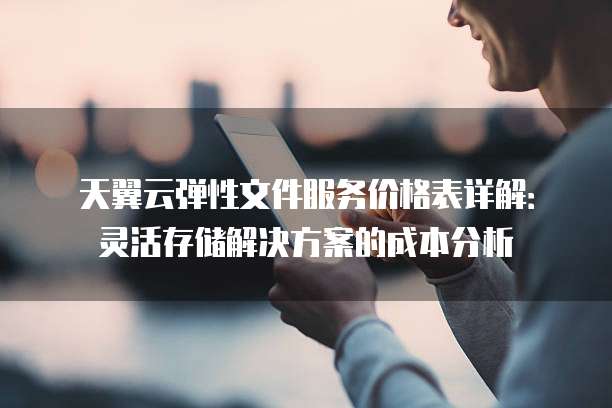 天翼云弹性文件服务价格表详解:灵活存储解决方案的成本分析