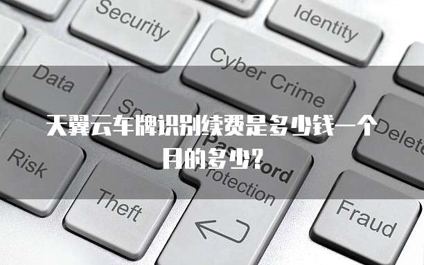 天翼云车牌识别续费是多少钱一个月的多少?