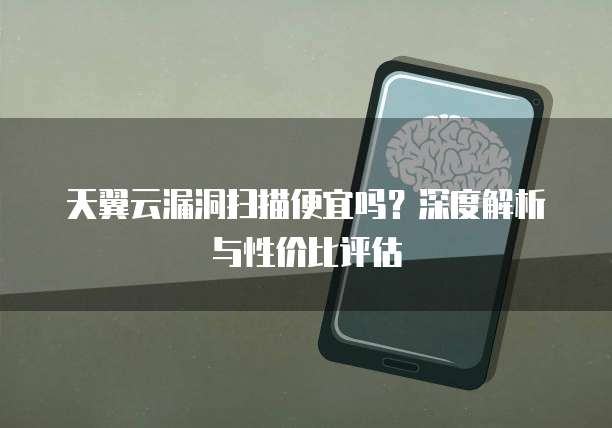 天翼云漏洞扫描便宜吗?深度解析与性价比评估