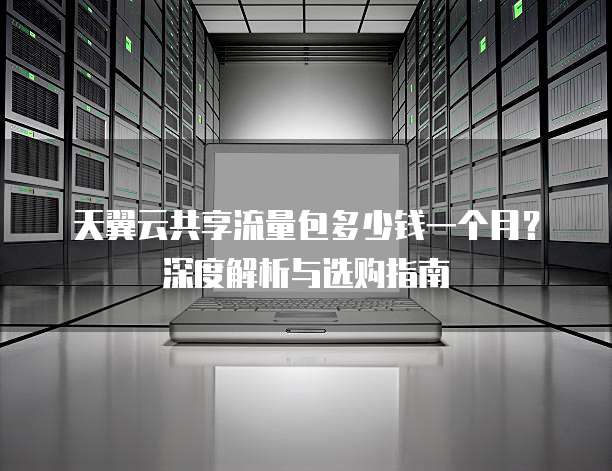 天翼云共享流量包多少钱一个月?深度解析与选购指南