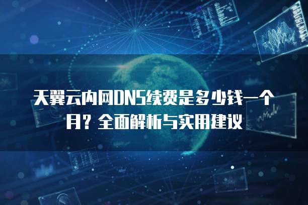 天翼云内网DNS续费是多少钱一个月?全面解析与实用建议