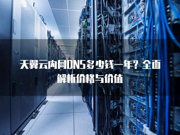天翼云内网DNS多少钱一年?全面解析价格与价值