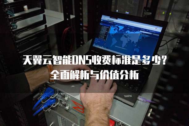 天翼云智能DNS收费标准是多少？全面解析与价值分析