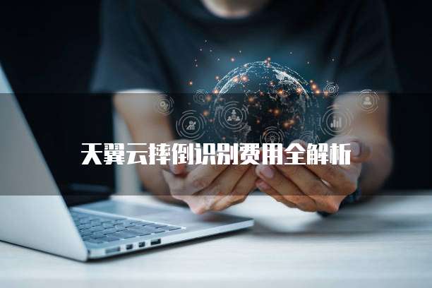 天翼云摔倒识别费用全解析