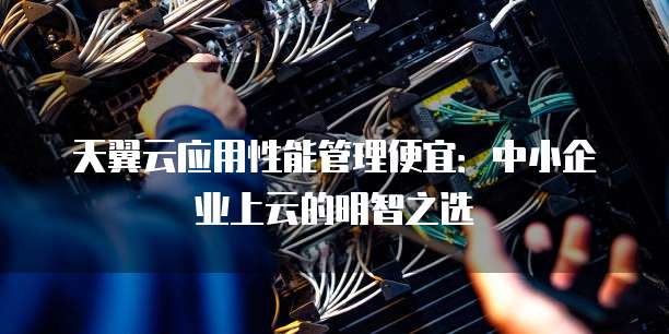 天翼云应用性能管理便宜:中小企业上云的明智之选