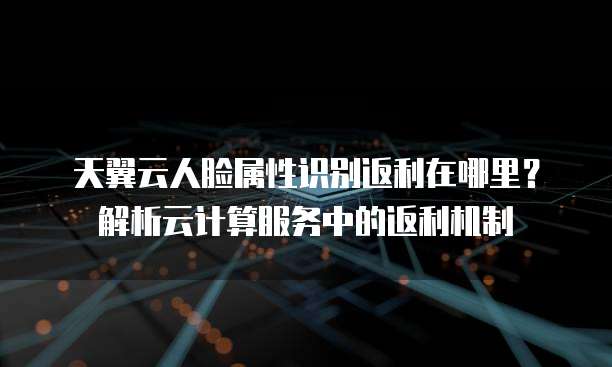 天翼云人脸属性识别返利在哪里?解析云计算服务中的返利机制