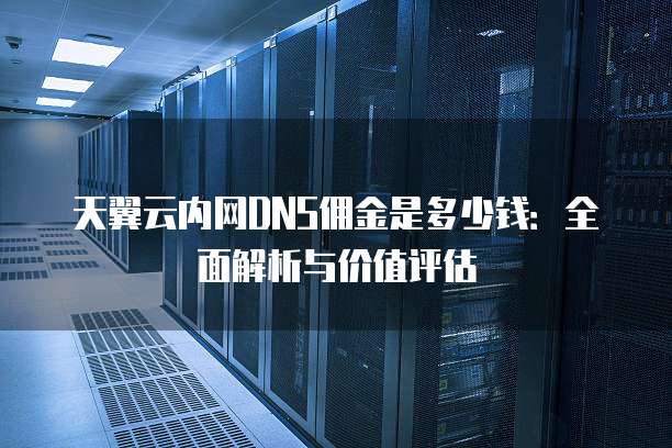 天翼云内网DNS佣金是多少钱：全面解析与价值评估