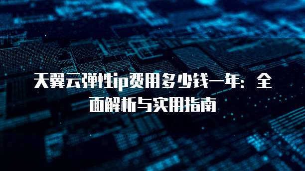 天翼云弹性ip费用多少钱一年：全面解析与实用指南