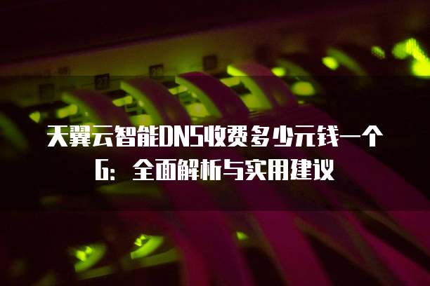 天翼云智能DNS收费多少元钱一个G:全面解析与实用建议