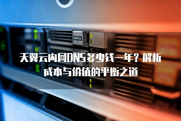天翼云内网DNS多少钱一年?解析成本与价值的平衡之道