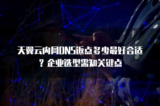 天翼云内网DNS返点多少最好合适?企业选型需知关键点