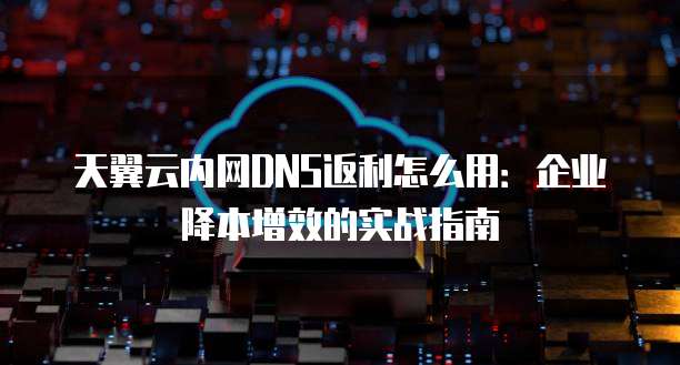 天翼云内网DNS返利怎么用:企业降本增效的实战指南