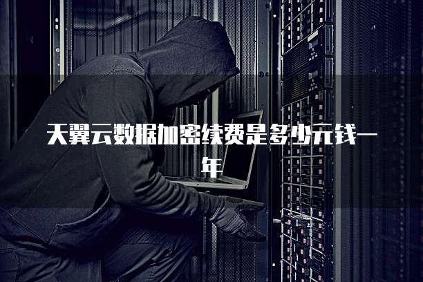 天翼云数据加密续费是多少元钱一年