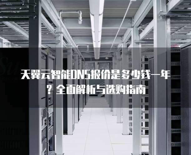 天翼云智能DNS报价是多少钱一年?全面解析与选购指南
