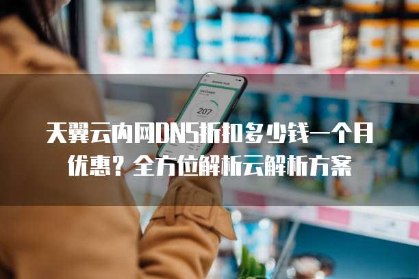 天翼云内网DNS折扣多少钱一个月优惠?全方位解析云解析方案