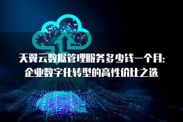 天翼云数据管理服务多少钱一个月:企业数字化转型的高性价比之选