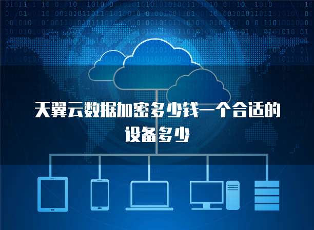 天翼云数据加密多少钱一个合适的设备多少